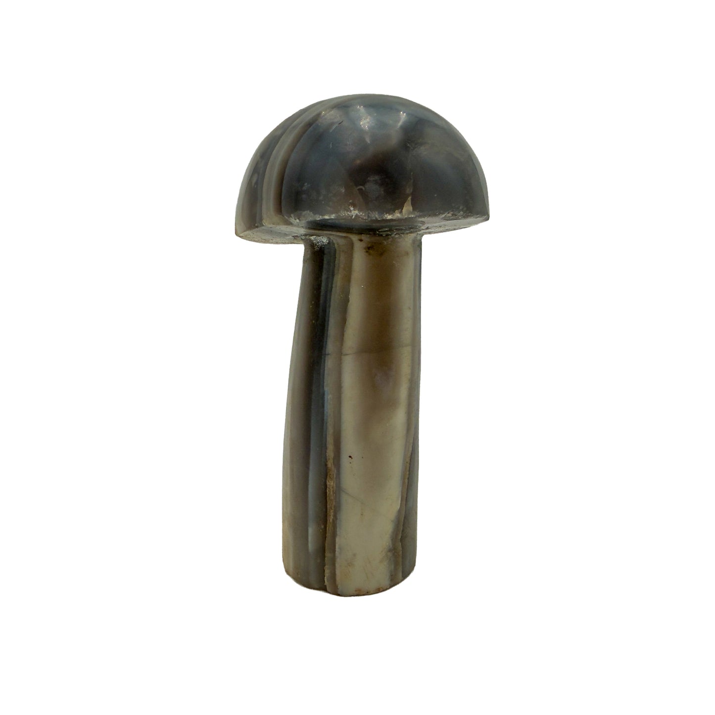 Angled view of the smallest mushroom in this group, 0.76 pounds of banded Zimbabwean agate.