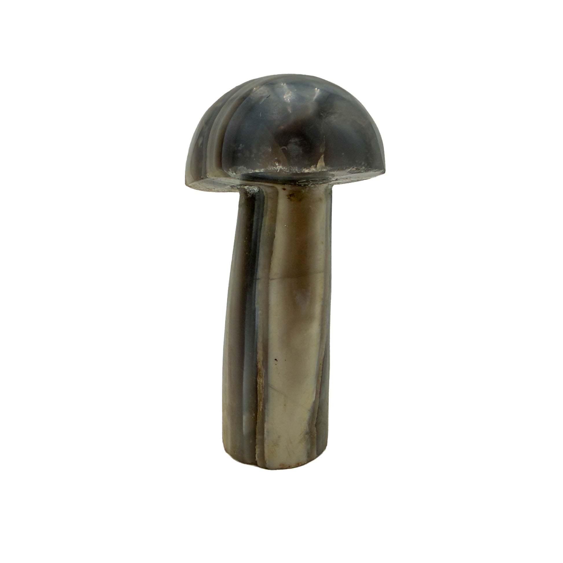 Angled view of the smallest mushroom in this group, 0.76 pounds of banded Zimbabwean agate.
