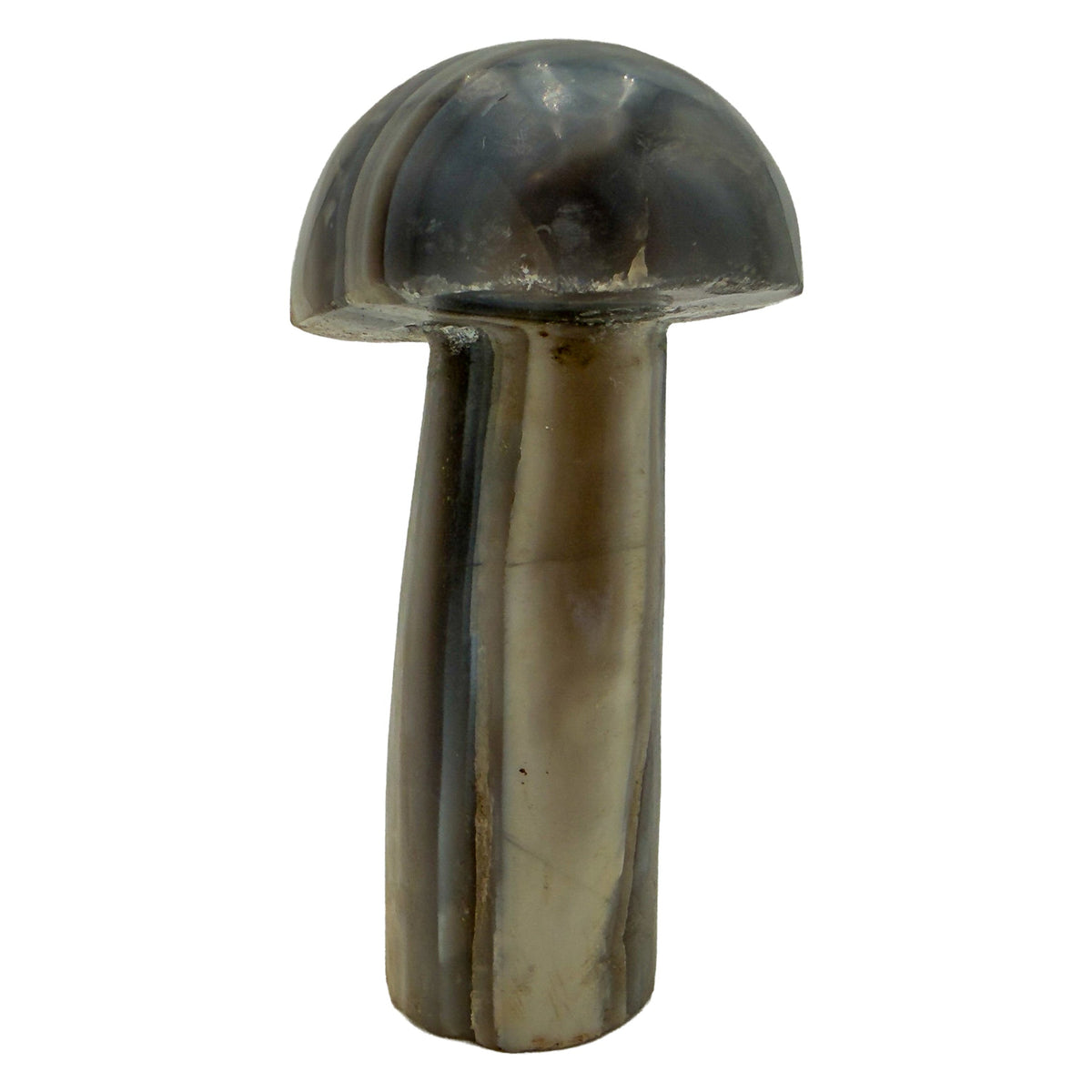 Angled view of the smallest mushroom in this group, 0.76 pounds of banded Zimbabwean agate.