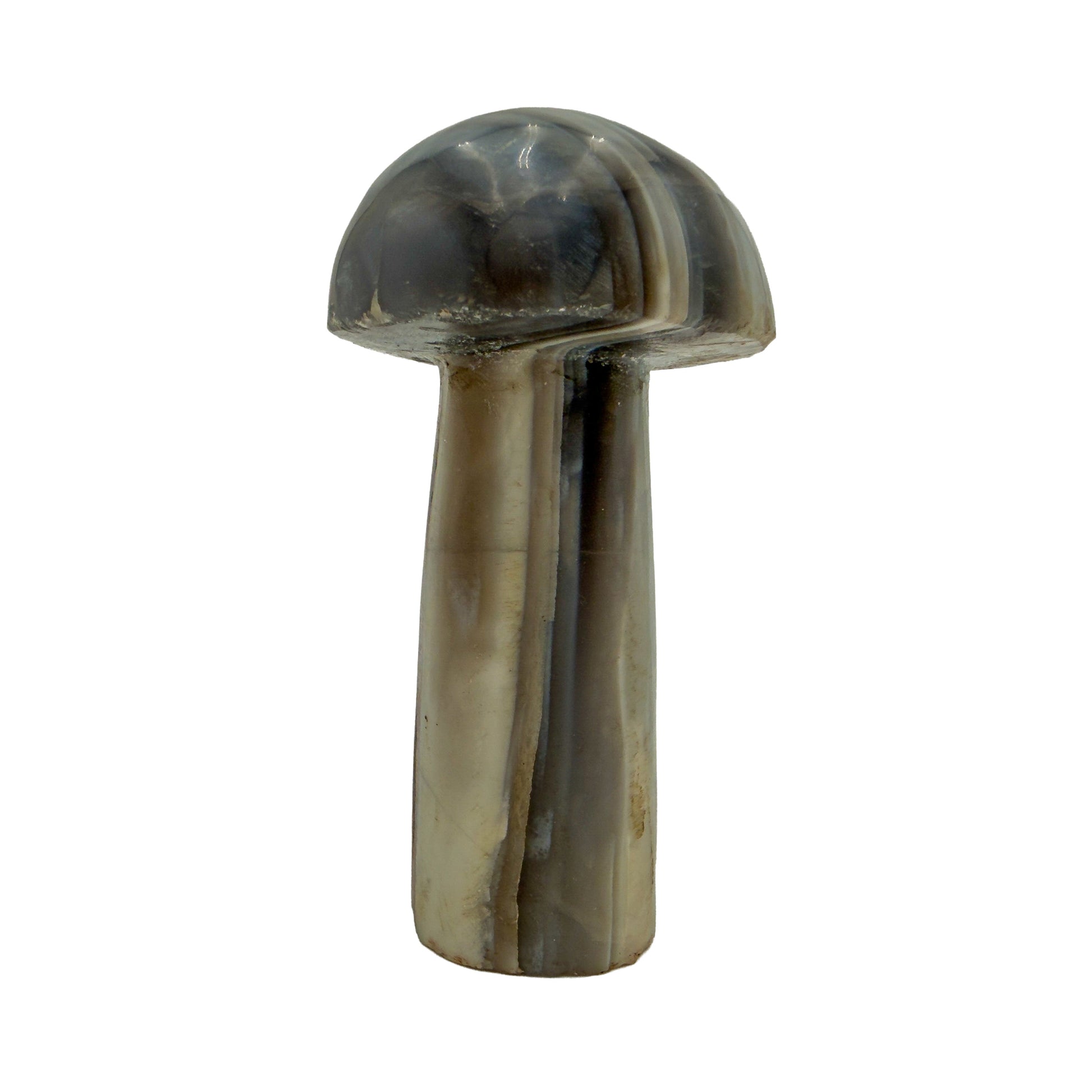 Left profile of agate mushroom no. 6, slim 2.34 inch cap above a narrow banded stem.
