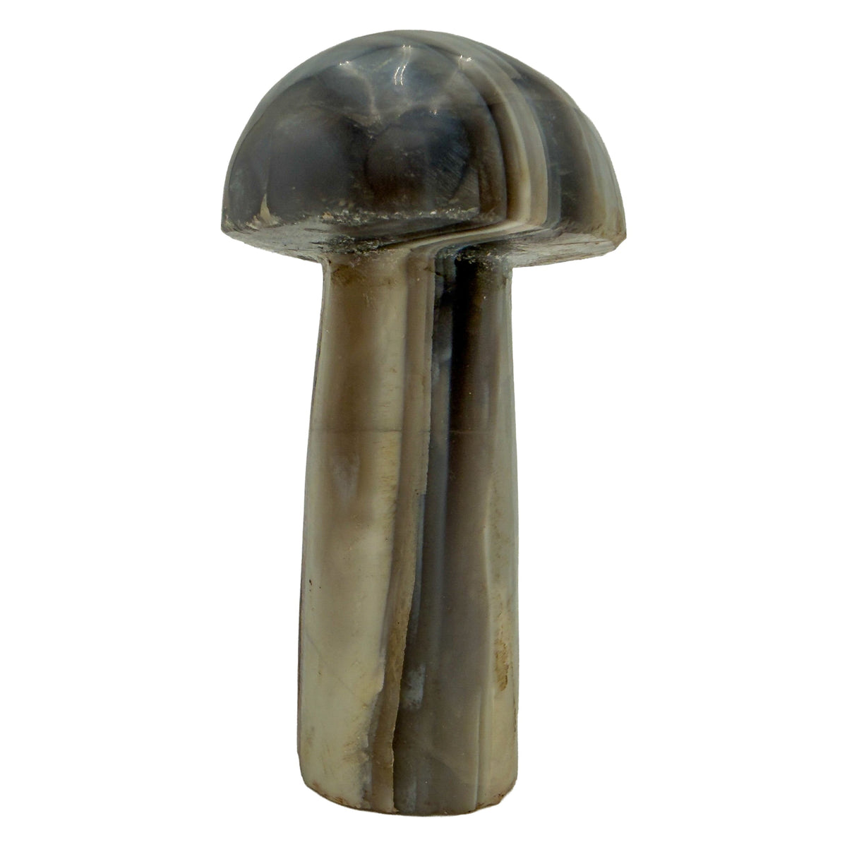Left profile of agate mushroom no. 6, slim 2.34 inch cap above a narrow banded stem.