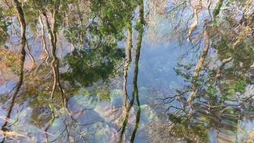 Crystal-clear water reflecting trees and sky at a natural crystal sourcing site, representing ethical and transparent origins