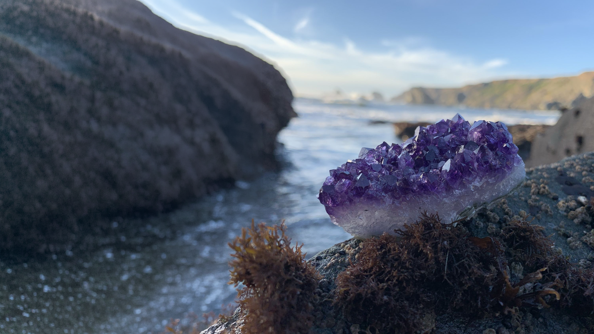 A deep purple raw amethyst cluster on a seaweed-covered rock, with the ocean and coastal cliffs behind