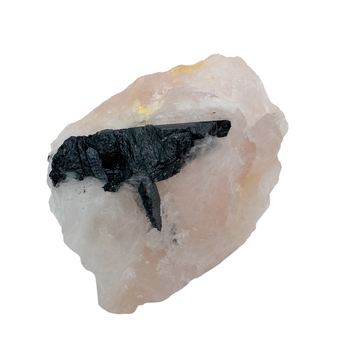 Rose Quartz with Black Tourmaline from Brazil, alternate view