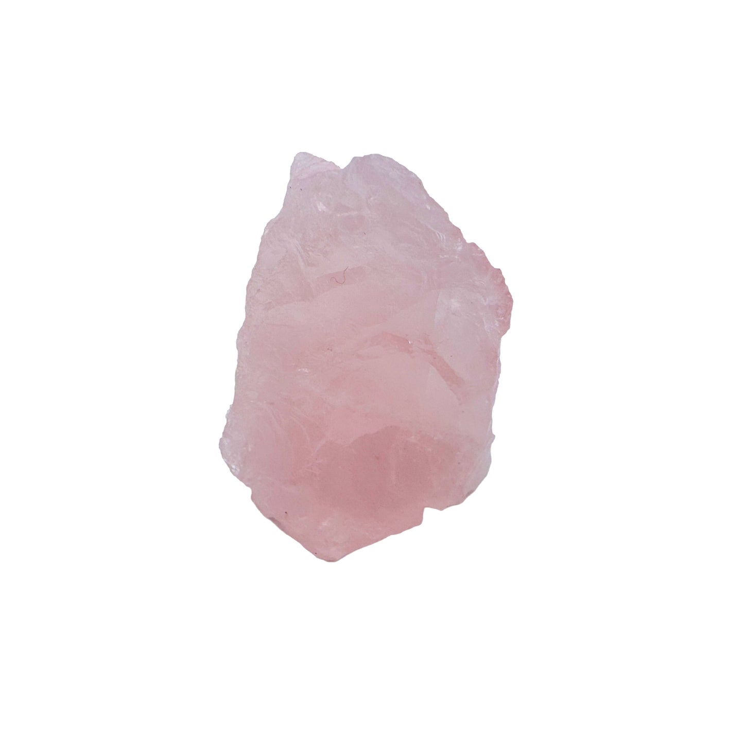 Single Rose Quartz specimen standing upright, its fractured faces catching light across a saturated pink body.