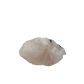 Alternate view of the broad pink face, 2.09 inches across