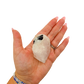 Scale shot of the slim standing piece, 98 g of Minas Gerais rose quartz in a hand