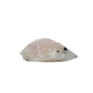 Profile showing the thickness of the longest of the lot at 2.08 inches