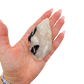 The long tourmaline vein held in a hand, showing the scale of this 3.30 inch specimen