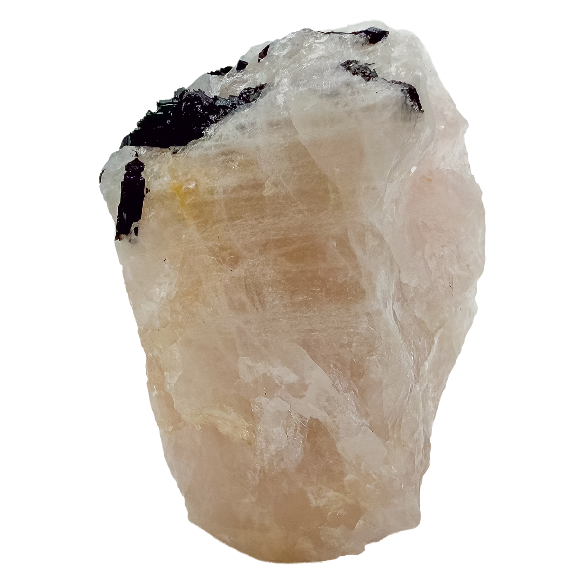 The elongated pink body tilted to catch light, 1.56 inches wide