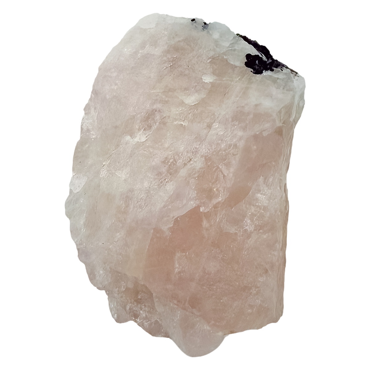 Detail of jet-black crystal against the pale pink of the elongated pink body
