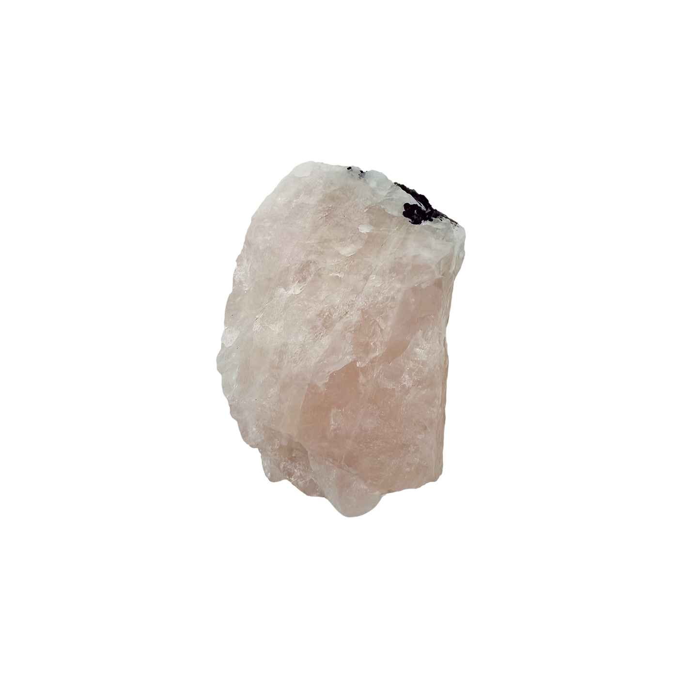 Detail of jet-black crystal against the pale pink of the elongated pink body