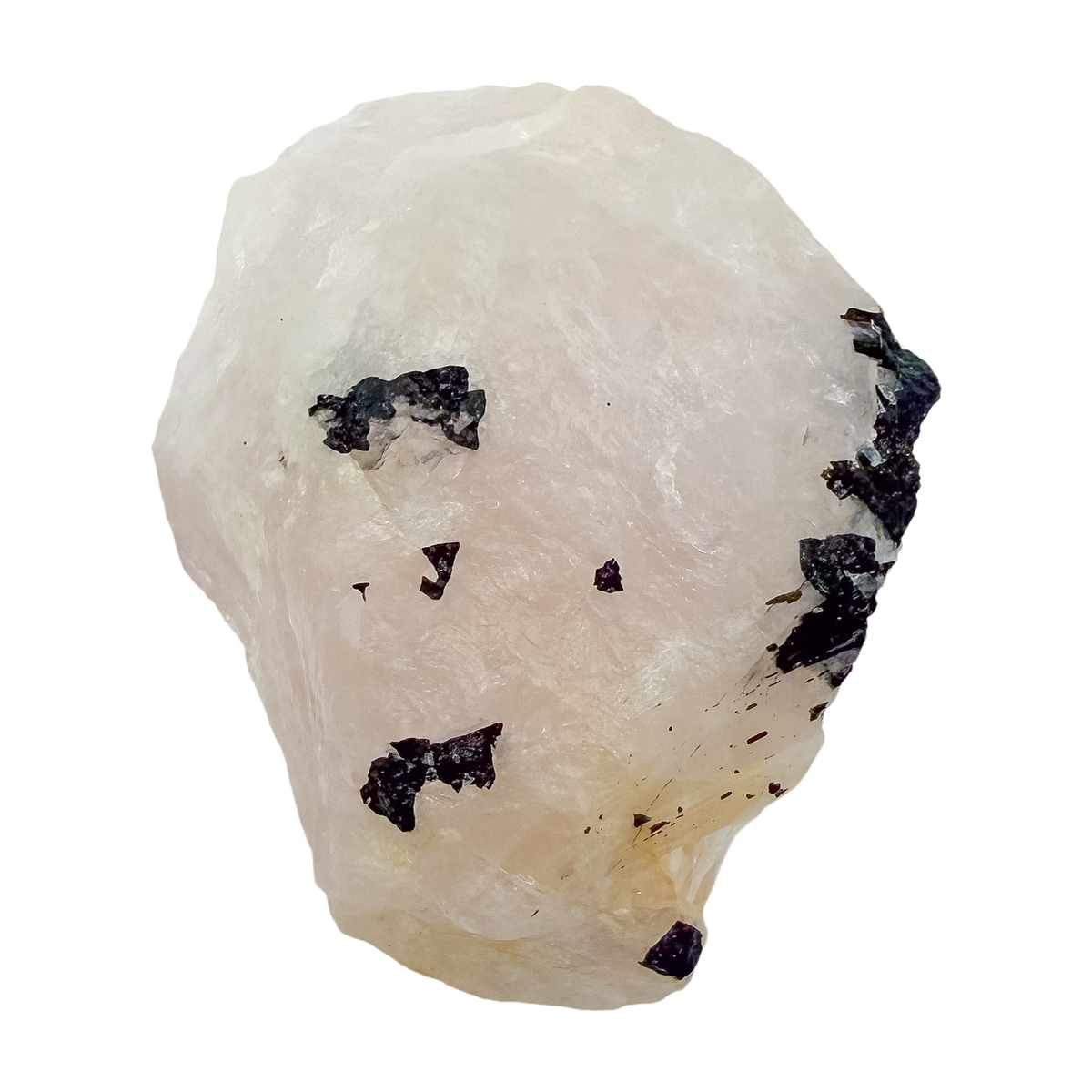 Close view of tourmaline crossing the wide pink face, 2.20 inches wide
