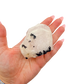 Scale shot of the wide pink face, 224 g of Minas Gerais rose quartz in a hand