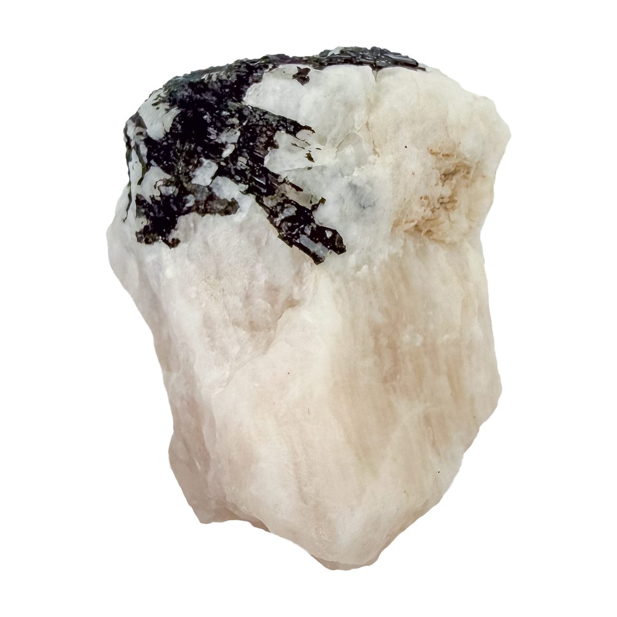Back of the broad pink slab, showing the natural break surface, 3.16 inches