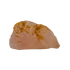 Collector grade Rose Quartz raw crystal specimen from Alaotra-Mangoro, Madagascar, uncut blush pink stone