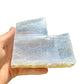 Palm-scale view of a Selenite specimen held against natural backdrop, sourced from New Mexico, USA.