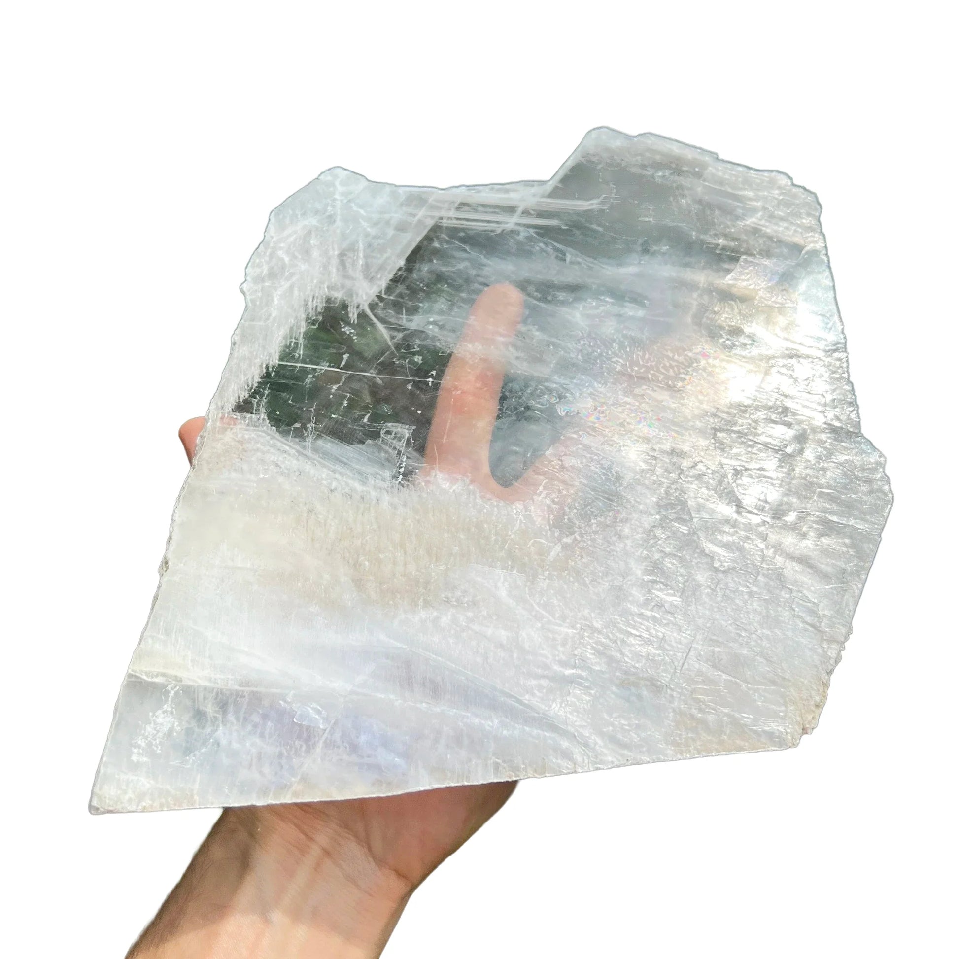 Hand-held view of a Selenite specimen held against natural backdrop.