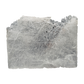 Selenite raw crystal standing slab, broad translucent white gypsum panel with natural terminations, AAA grade New Mexico, 4.03 lb, view 1