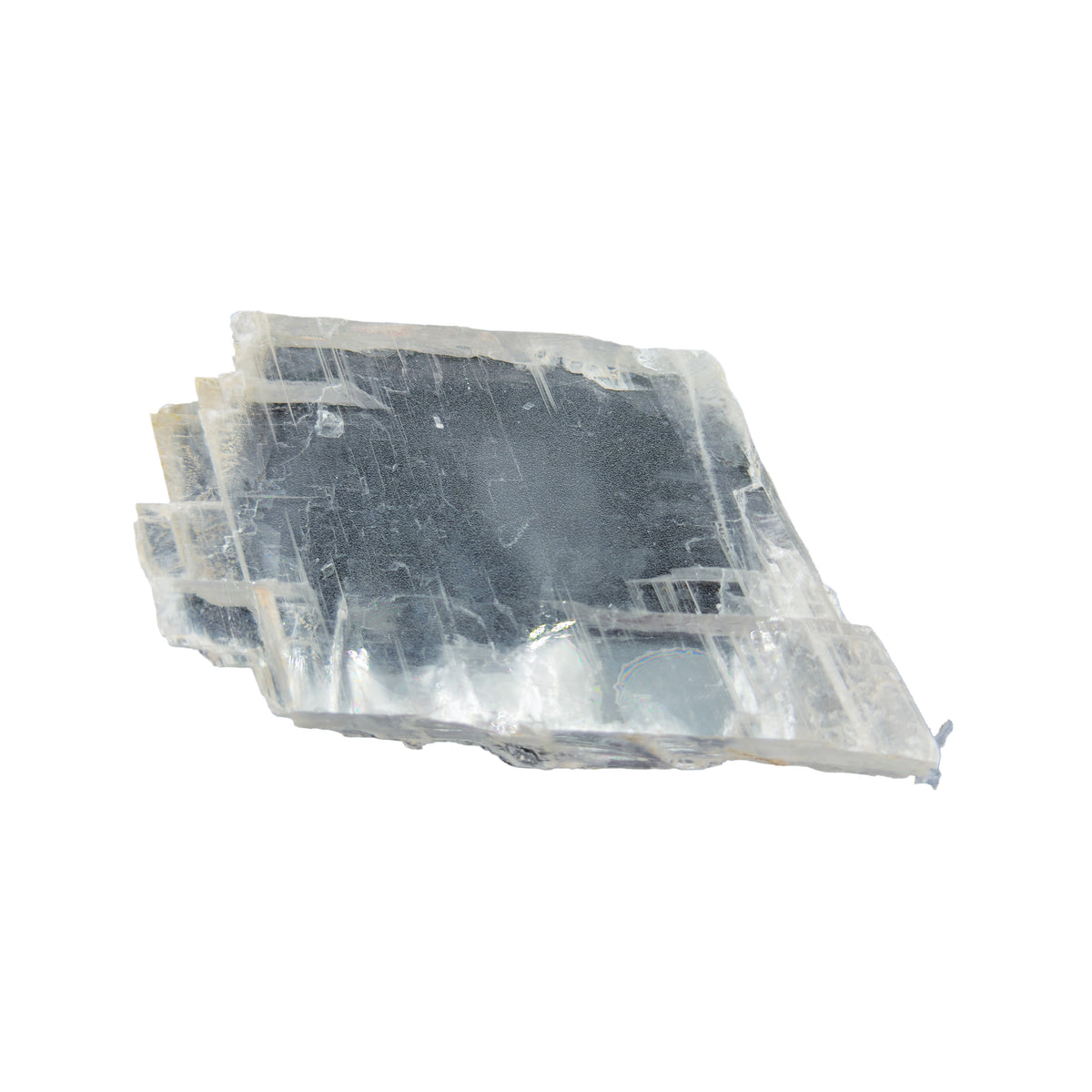 AAA grade selenite clearing slab from New Mexico, right profile, translucent white gypsum fiber, specimen 57.