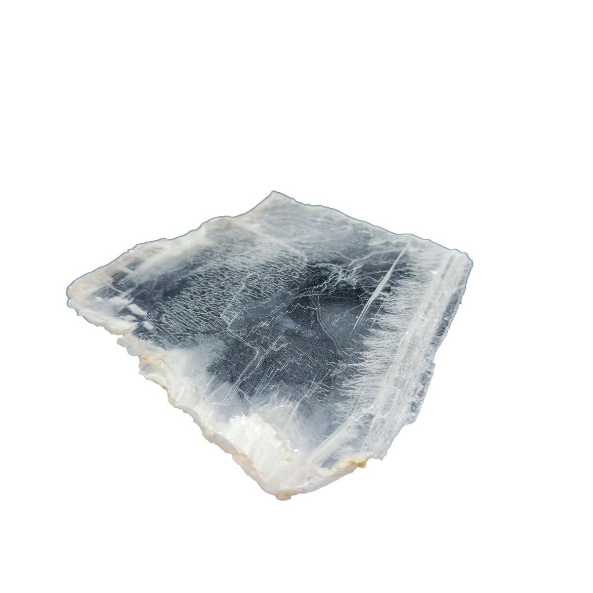 AAA grade selenite clearing slab from New Mexico, edge profile showing thickness, translucent white gypsum fiber, specimen 59.