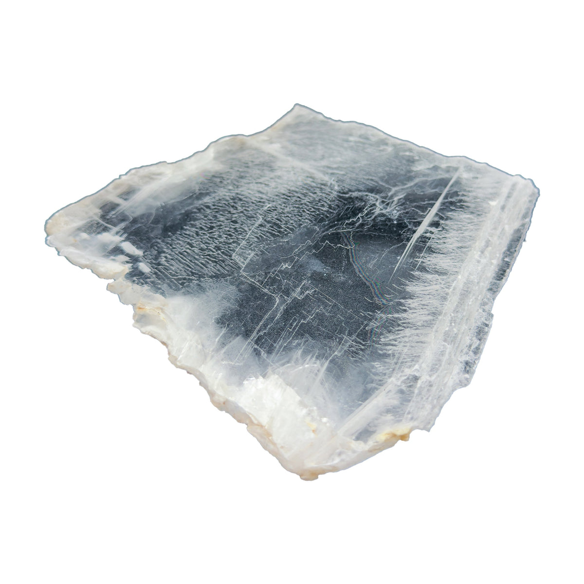AAA grade selenite clearing slab from New Mexico, edge profile showing thickness, translucent white gypsum fiber, specimen 59.