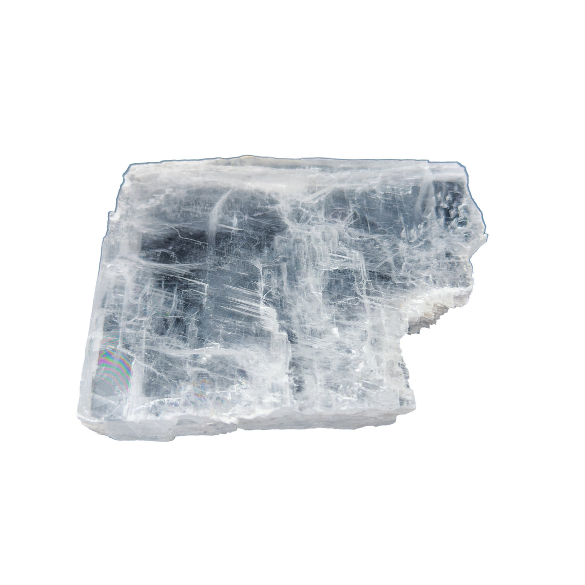 AAA grade selenite clearing slab from New Mexico, edge profile showing thickness, translucent white gypsum fiber, specimen 61.