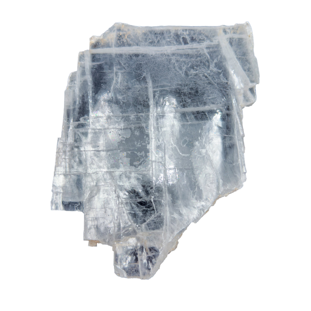 AAA grade selenite clearing slab from New Mexico, left profile, translucent white gypsum fiber, specimen 63.