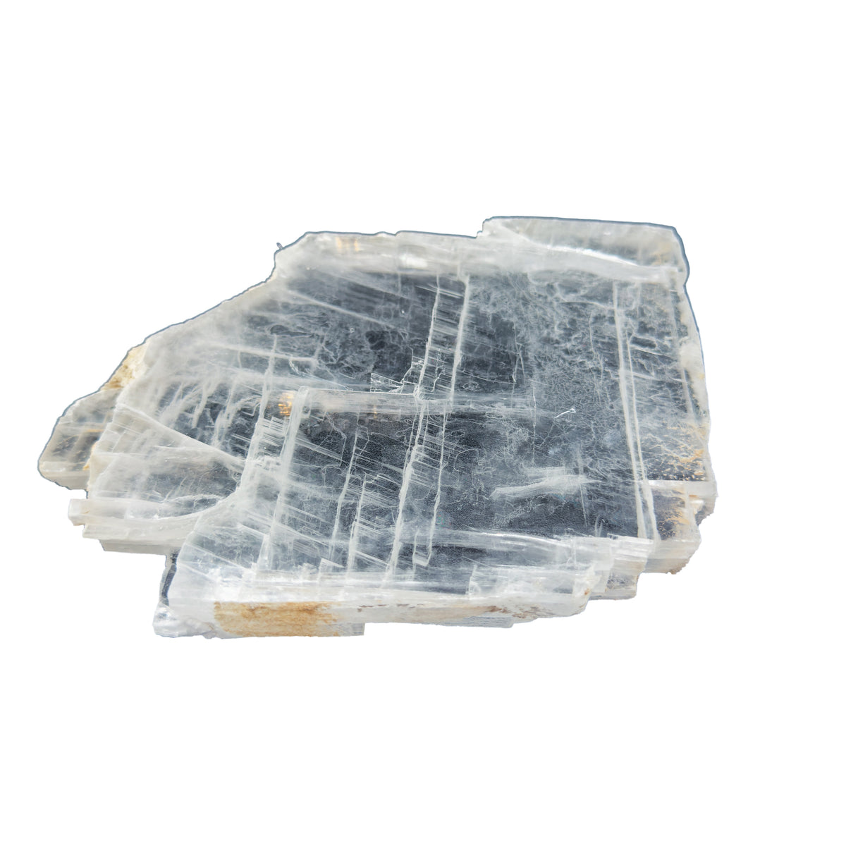 AAA grade selenite clearing slab from New Mexico, edge profile showing thickness, translucent white gypsum fiber, specimen 63.
