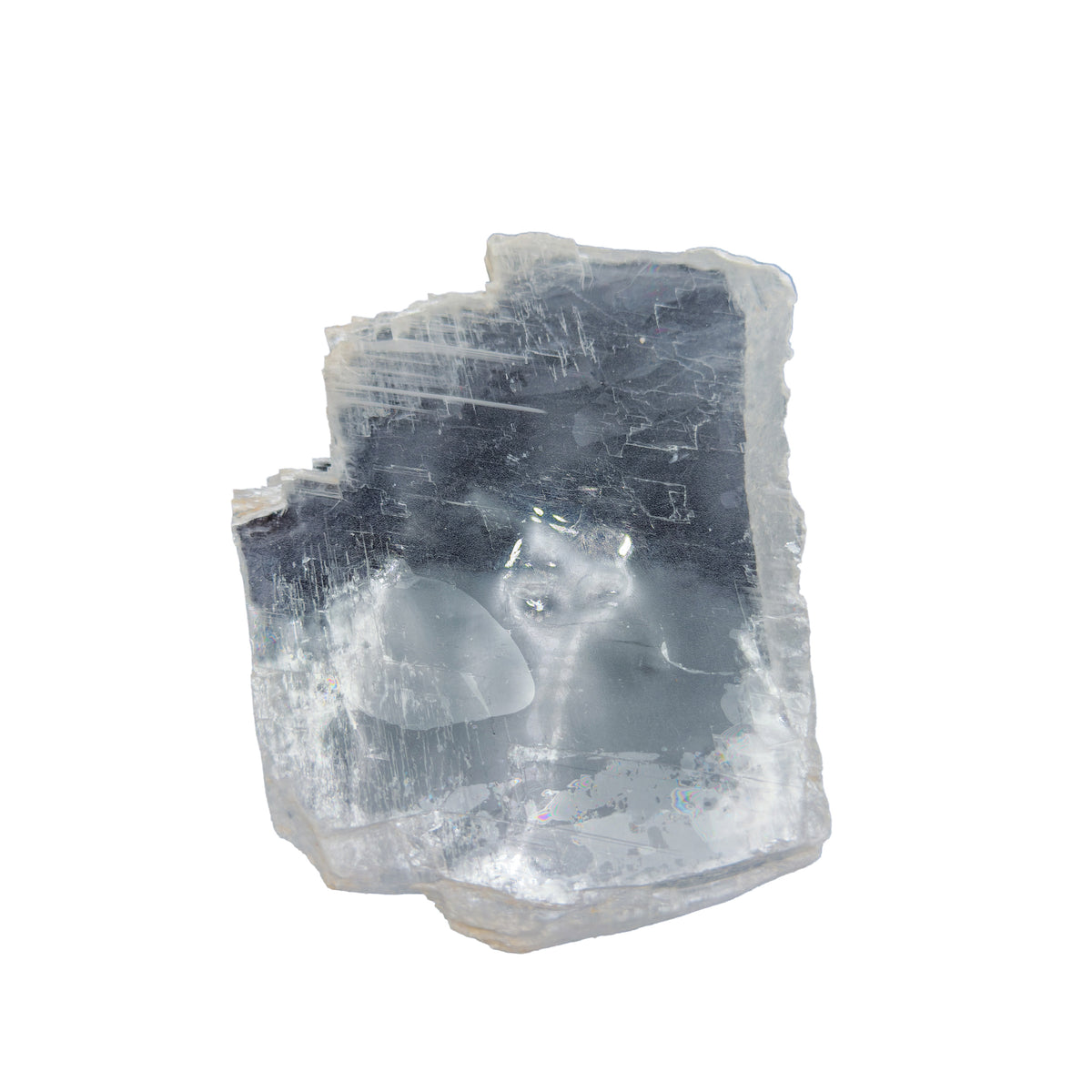 AAA grade selenite clearing slab from New Mexico, right profile, translucent white gypsum fiber, specimen 64.