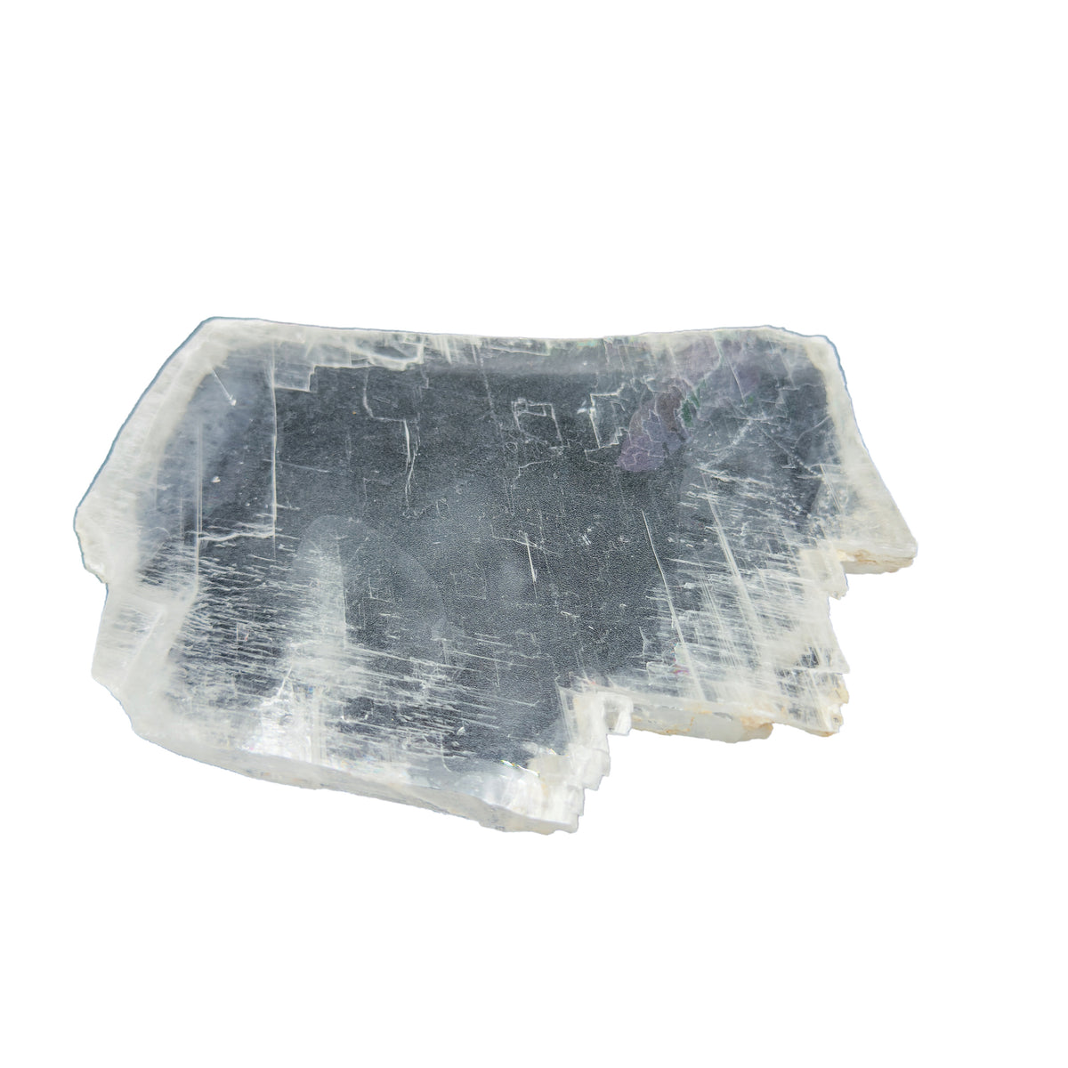 AAA grade selenite clearing slab from New Mexico, edge profile showing thickness, translucent white gypsum fiber, specimen 64.
