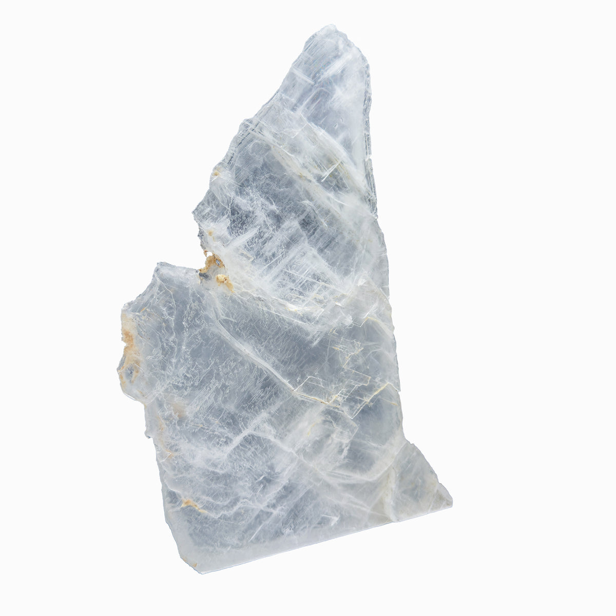 AAA grade selenite standing slab from New Mexico, left profile, translucent white gypsum fiber, specimen 51.