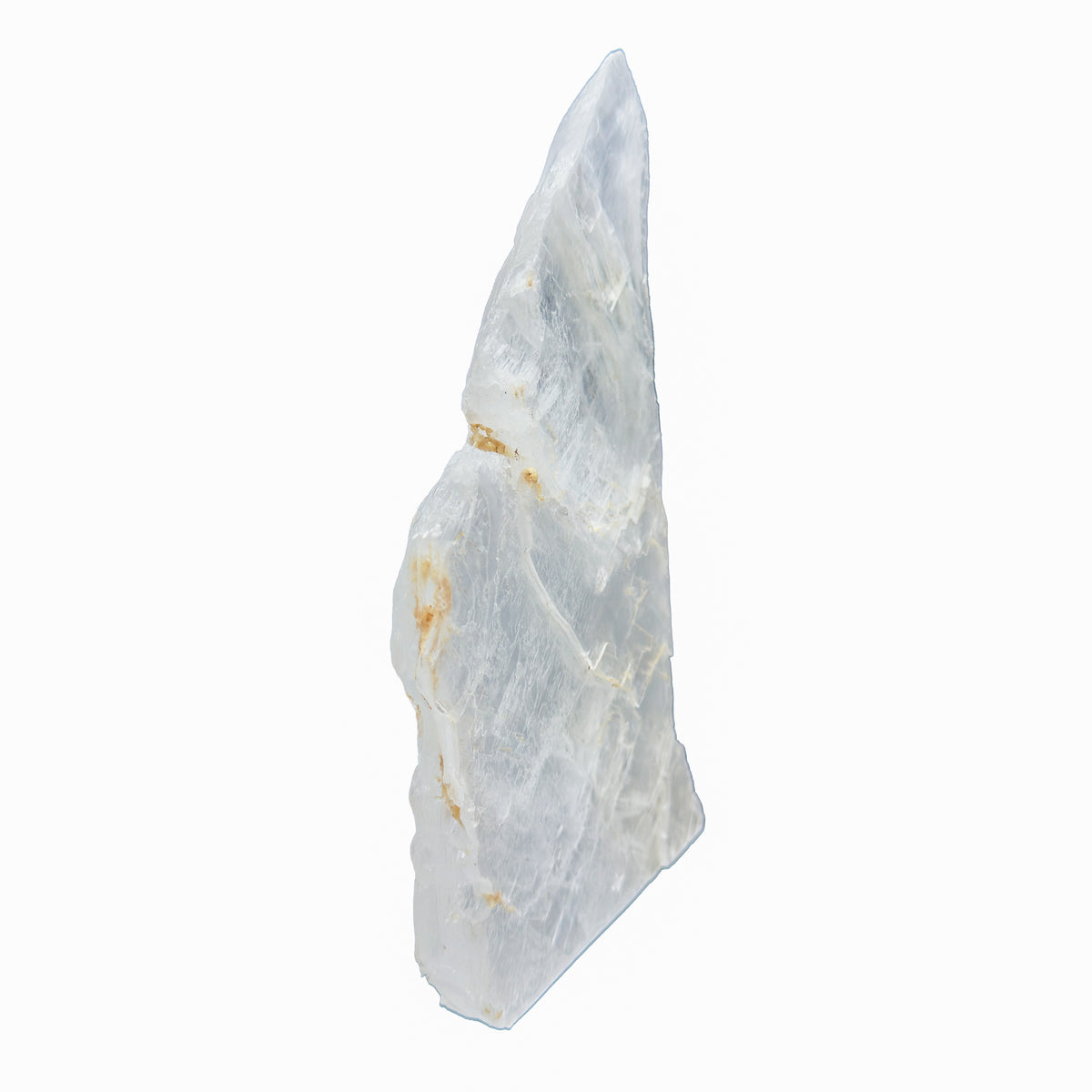 AAA grade selenite standing slab from New Mexico, edge profile showing thickness, translucent white gypsum fiber, specimen 51.