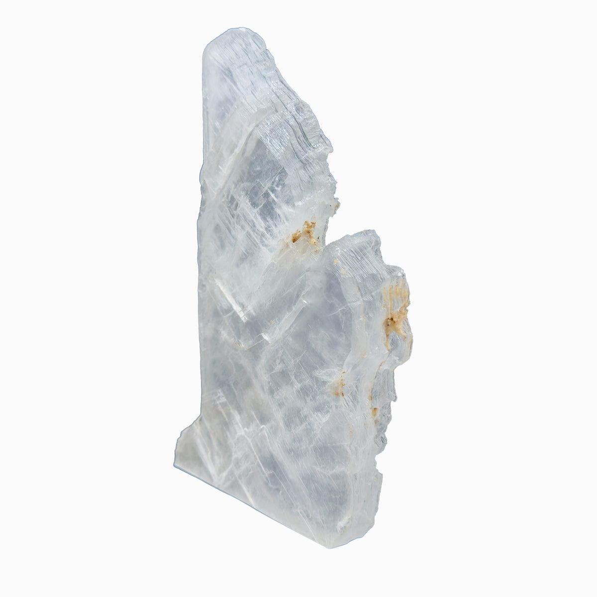 AAA grade selenite standing slab from New Mexico, right profile, translucent white gypsum fiber, specimen 51.