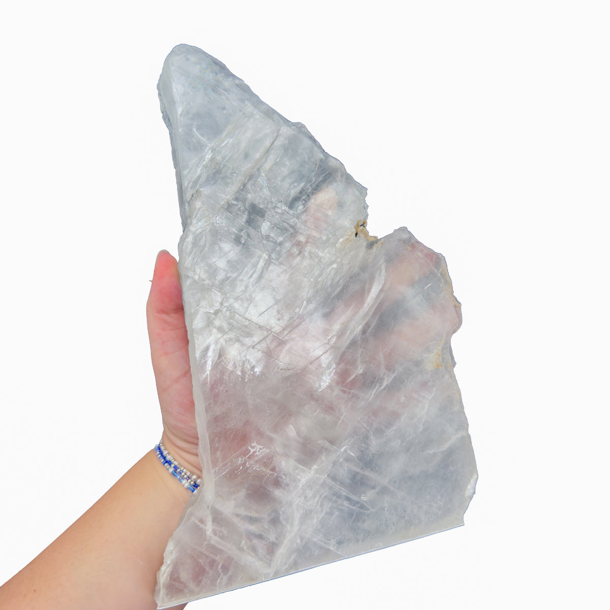 Selenite standing slab from New Mexico held in an open hand, backlit to show translucency, 2.99 pound piece, specimen 51.