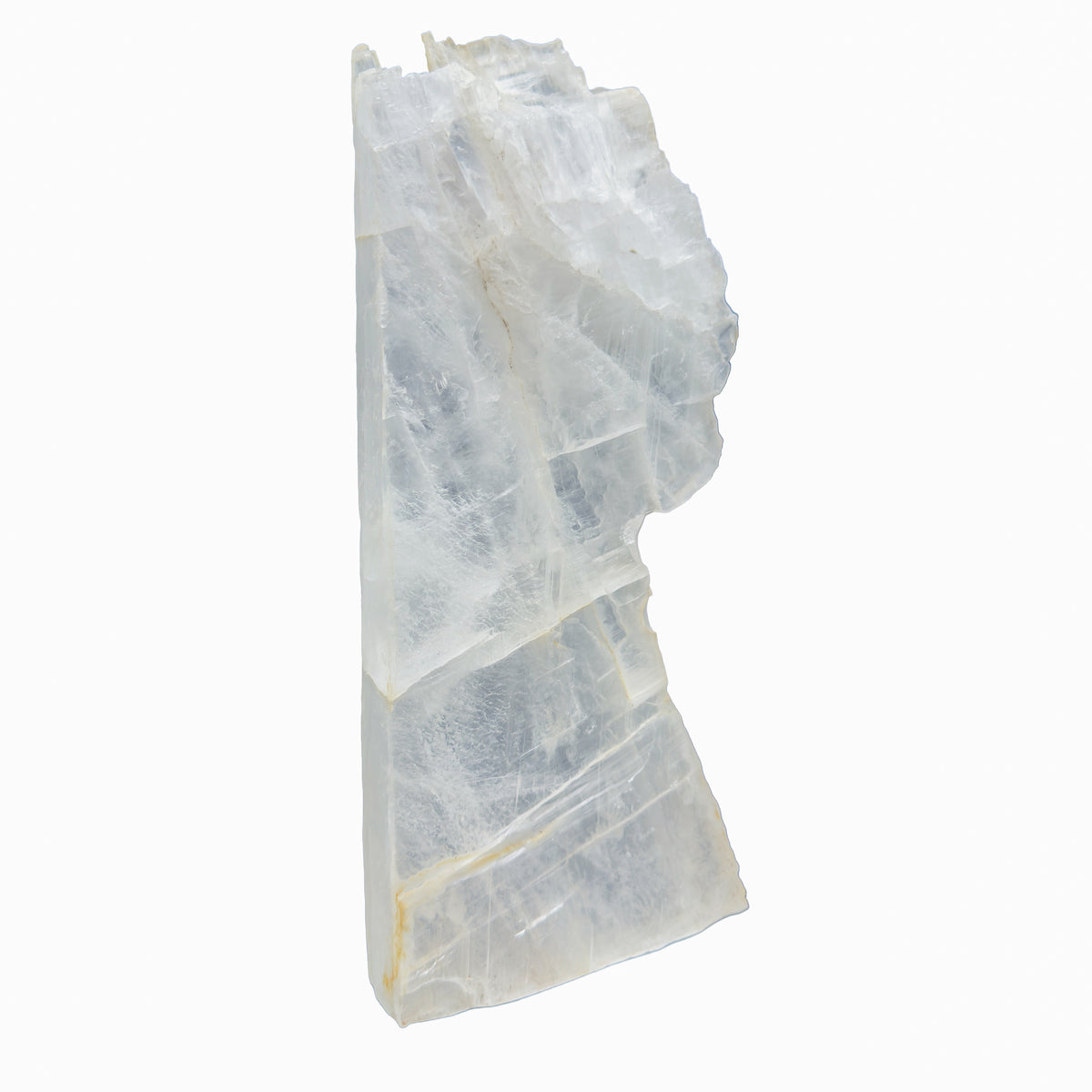 AAA grade selenite standing slab from New Mexico, left profile, translucent white gypsum fiber, specimen 52.