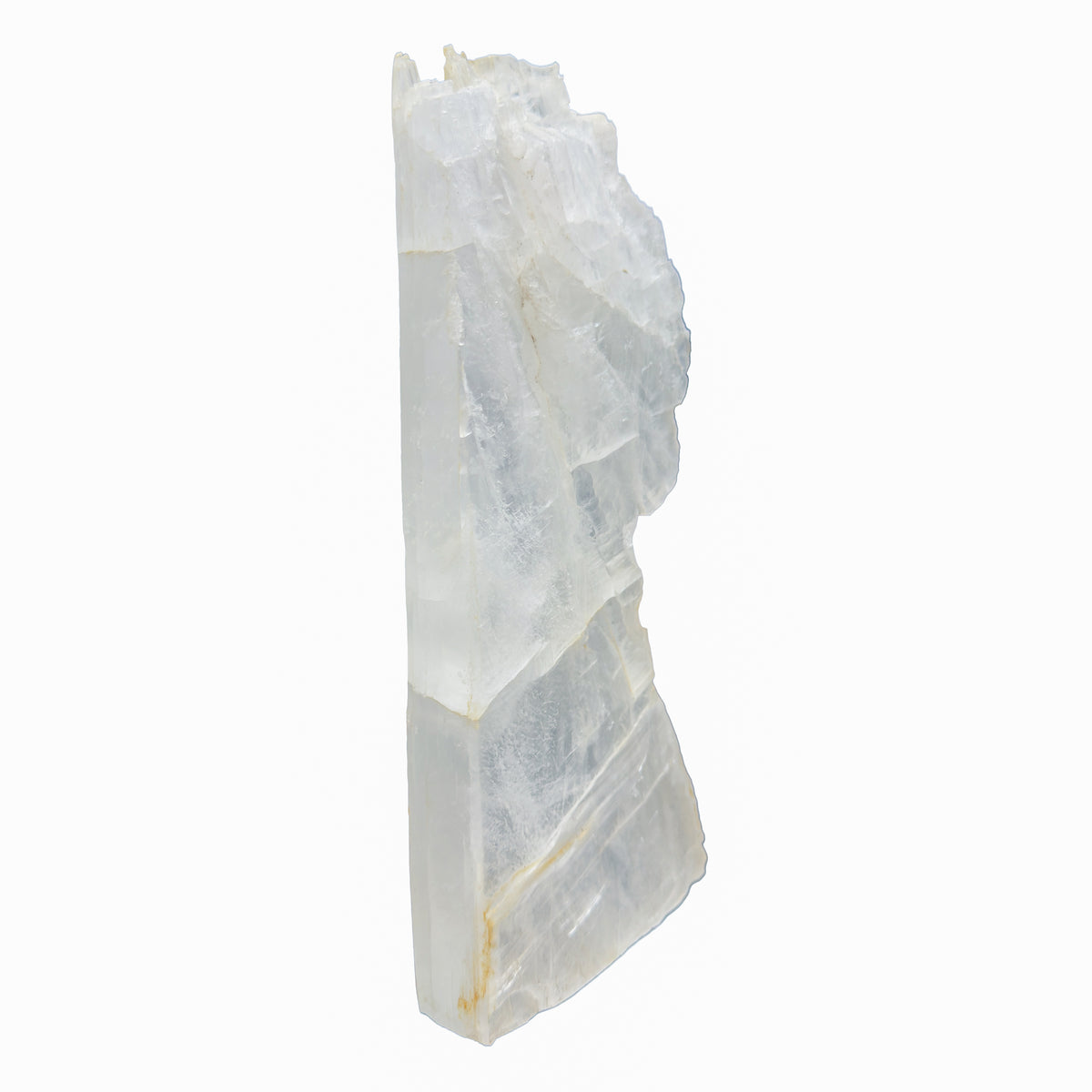 AAA grade selenite standing slab from New Mexico, right profile, translucent white gypsum fiber, specimen 52.