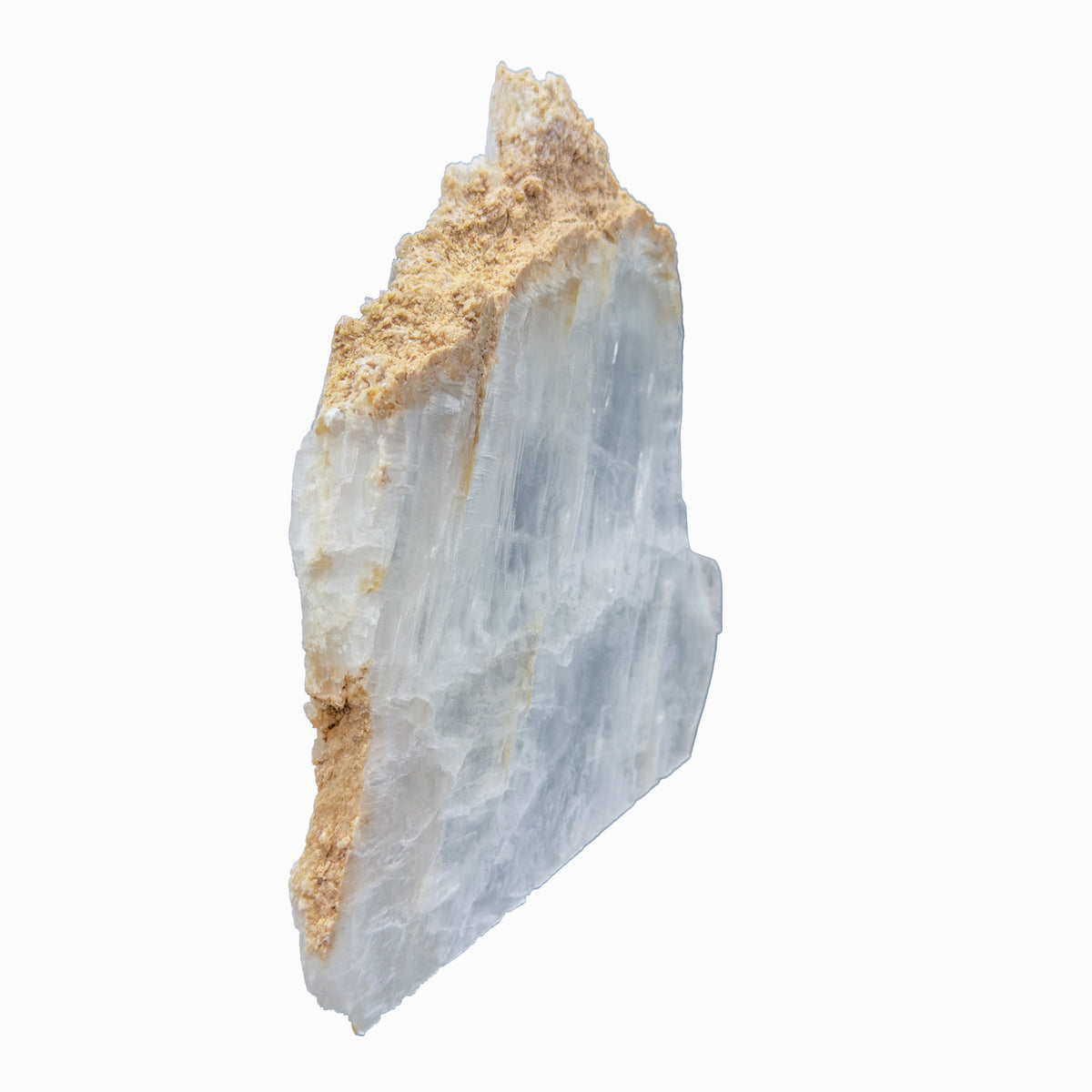 AAA grade selenite standing slab from New Mexico, edge profile showing thickness, translucent white gypsum fiber, specimen 53.