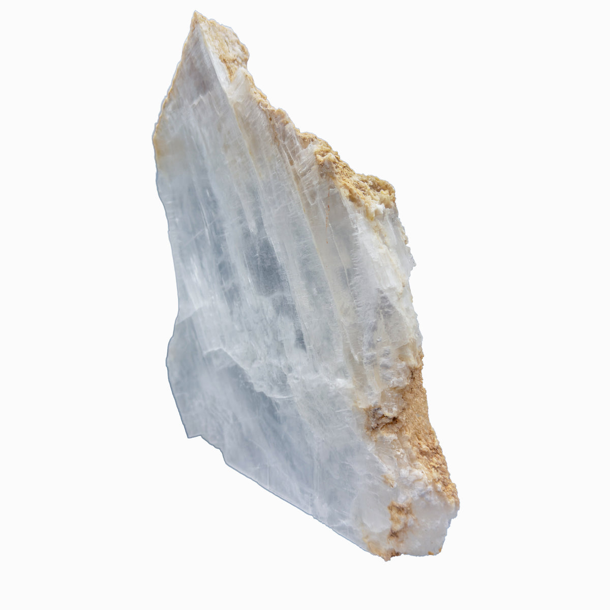 AAA grade selenite standing slab from New Mexico, right profile, translucent white gypsum fiber, specimen 53.