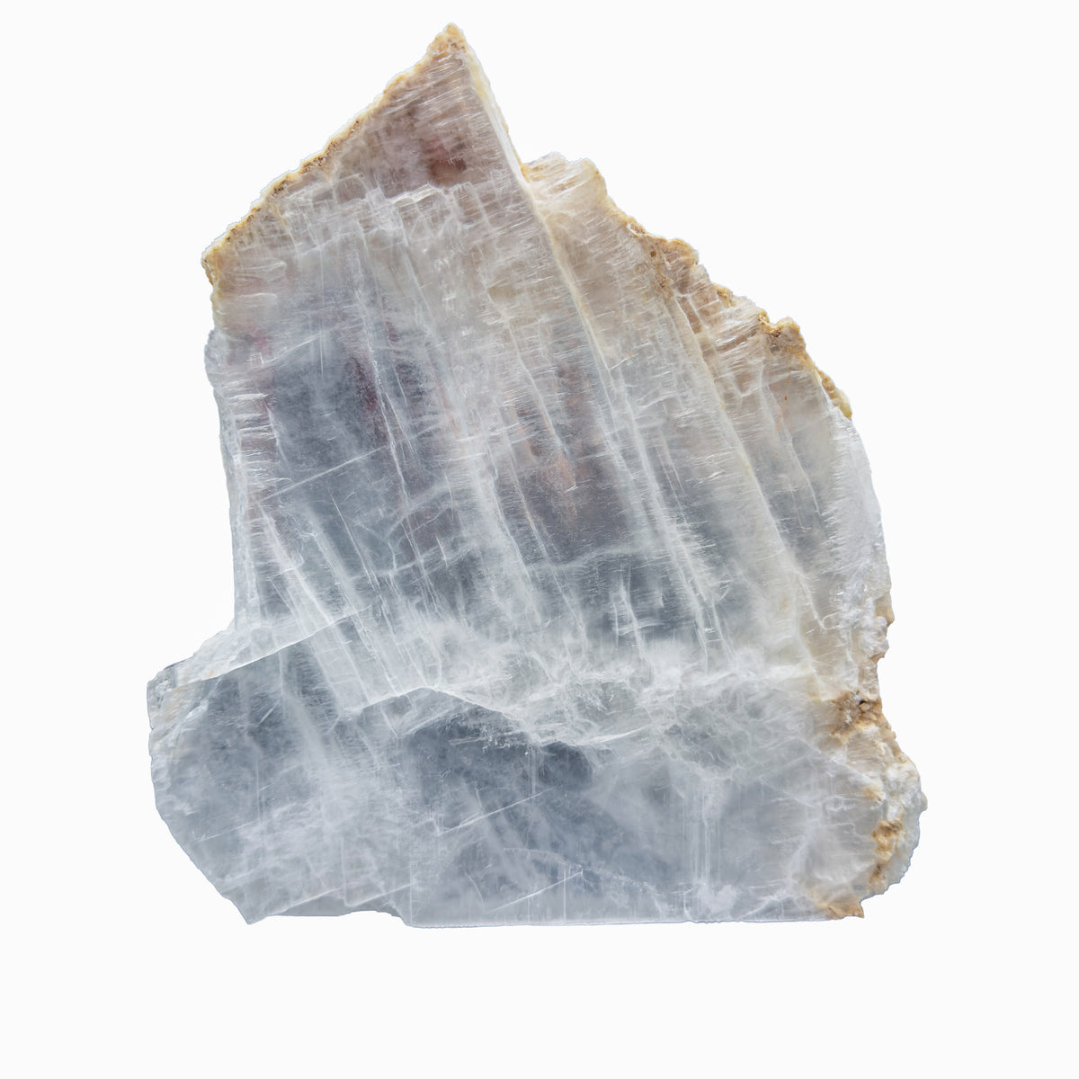 AAA grade selenite standing slab from New Mexico, angled three-quarter view, translucent white gypsum fiber, specimen 53.