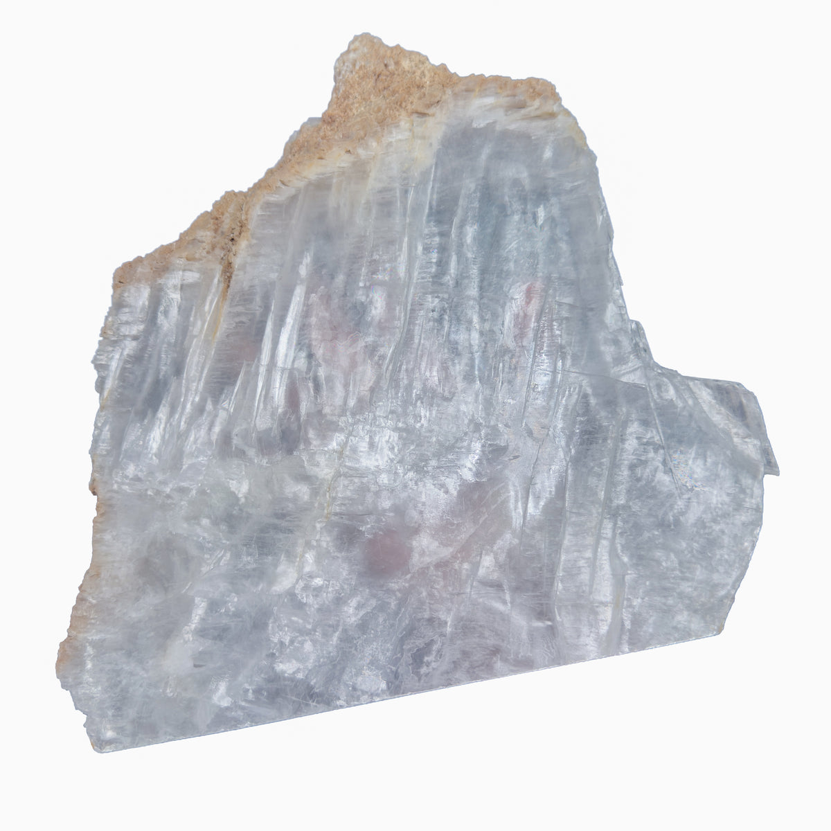 AAA grade selenite standing slab from New Mexico, left profile, translucent white gypsum fiber, specimen 53.