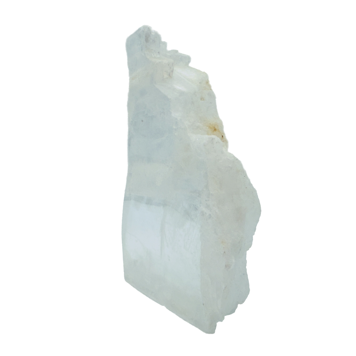 AAA grade selenite standing slab from New Mexico, right profile, translucent white gypsum fiber, specimen 71.