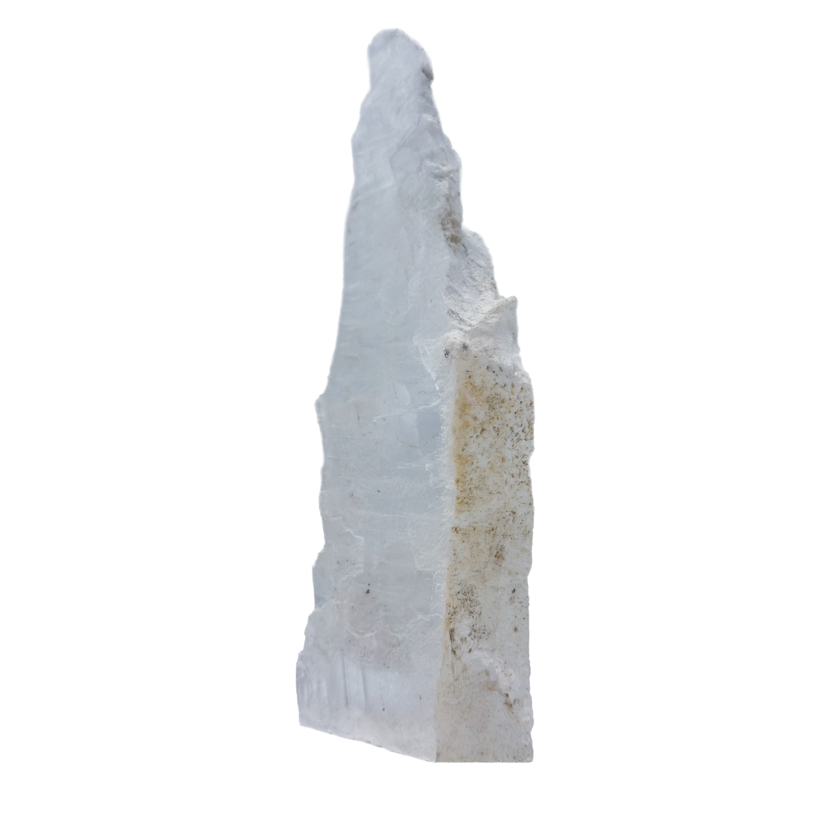 AAA grade selenite standing slab from New Mexico, left profile, translucent white gypsum fiber, specimen 73.