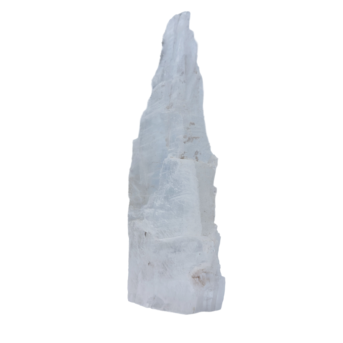 AAA grade selenite standing slab from New Mexico, right profile, translucent white gypsum fiber, specimen 73.