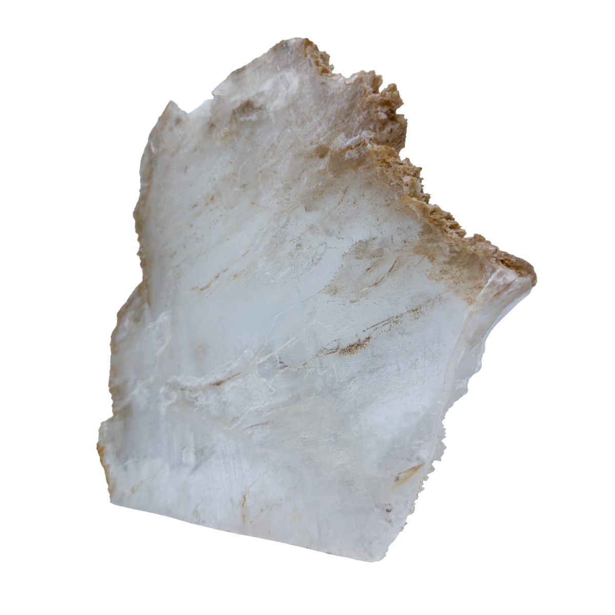 AAA grade selenite standing slab from New Mexico, left profile, translucent white gypsum fiber, specimen 74.