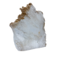 AAA grade selenite standing slab from New Mexico, opposite face, translucent white gypsum fiber, specimen 74.