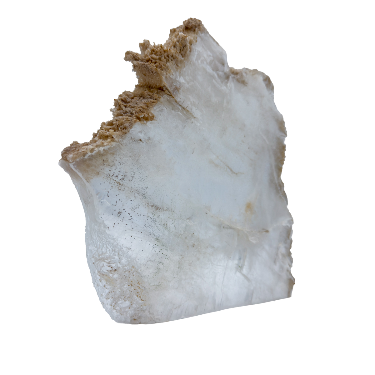 AAA grade selenite standing slab from New Mexico, opposite face, translucent white gypsum fiber, specimen 74.