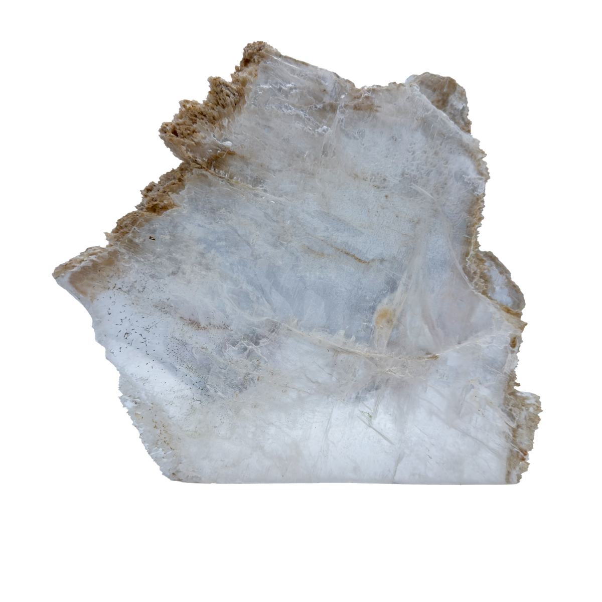AAA grade selenite standing slab from New Mexico, reverse side, translucent white gypsum fiber, specimen 74.
