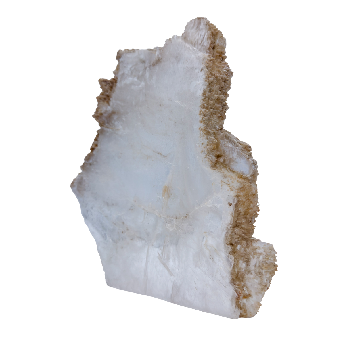 AAA grade selenite standing slab from New Mexico, right profile, translucent white gypsum fiber, specimen 74.