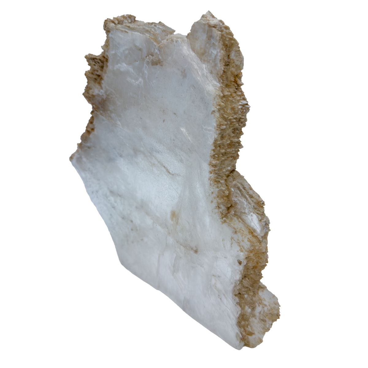 AAA grade selenite standing slab from New Mexico, top edge detail, translucent white gypsum fiber, specimen 74.